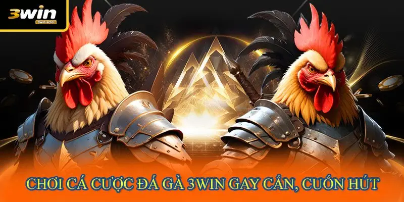 Chơi cá cược đá gà 3WIN gay cấn, cuốn hút