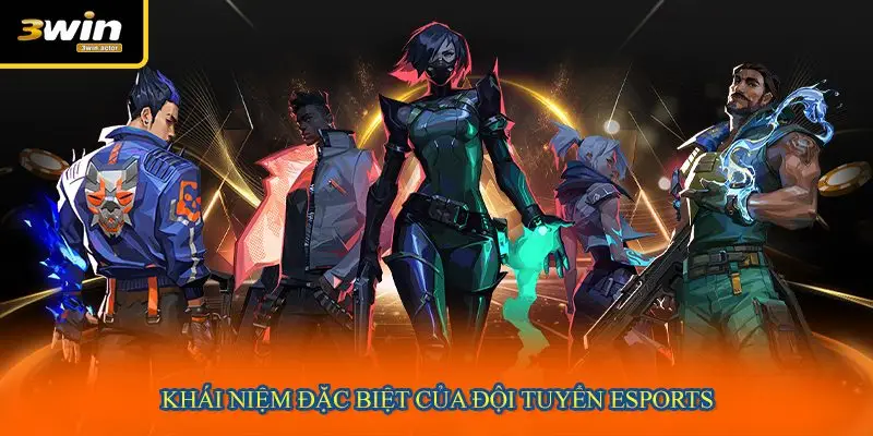 Khái niệm đặc biệt của đội tuyển eSports